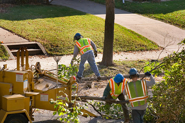 Cottleville, MO Tree Removal Company